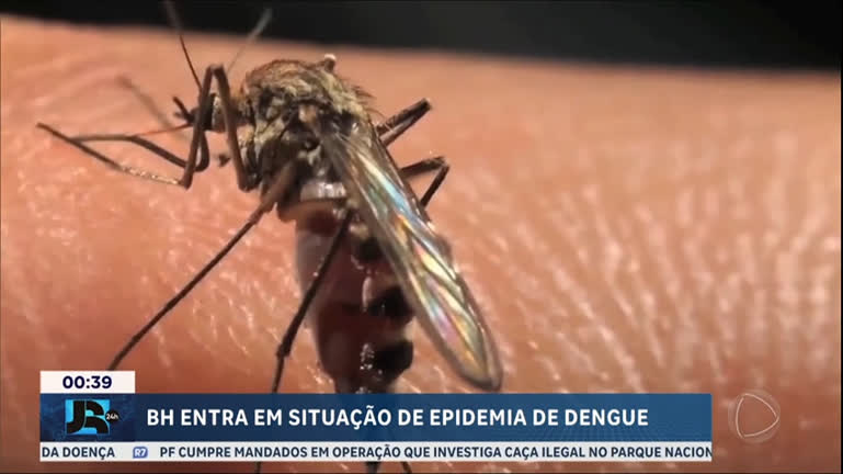 dengue:-belo-horizonte-(mg)-decreta-situacao-de-epidemia-apos-aumento-nos-casos