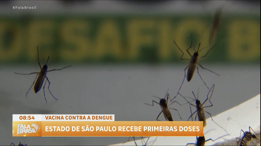 estado-de-sao-paulo-recebe-doses-da-vacina-da-dengue