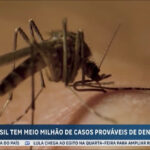 brasil-supera-a-marca-de-meio-milhao-de-provaveis-casos-de-dengue-em-2024